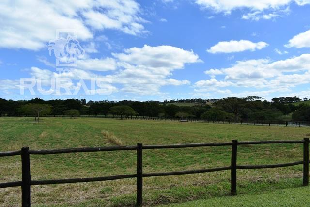 Haras à venda na região da Castelo Branco com 80 alqueires paulista