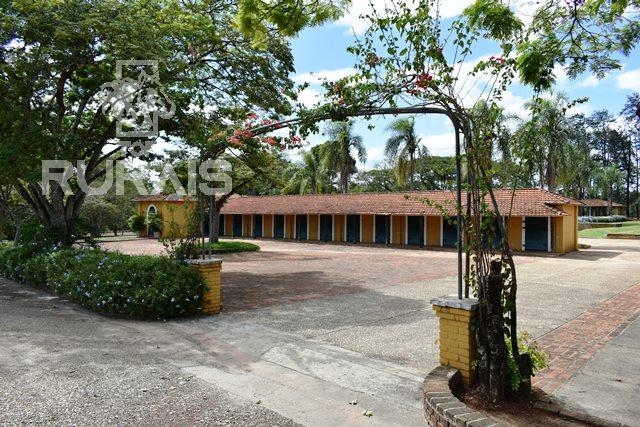 Haras à venda na região da Castelo Branco com 80 alqueires paulista
