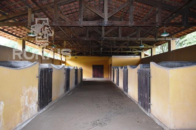 Haras à venda na região da Castelo Branco com 80 alqueires paulista