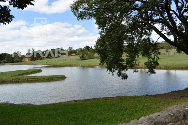 Haras à venda na região da Castelo Branco com 80 alqueires paulista