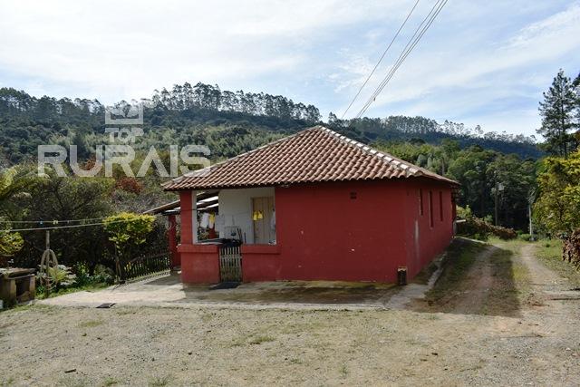 Sítio à venda em Piedade-Sp com 10 alqueires paulista.