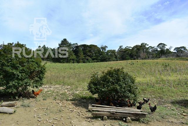 Sítio à venda em Piedade-Sp com 10 alqueires paulista.
