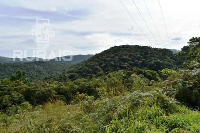 Sítio à venda em Piedade-Sp com 10 alqueires paulista.