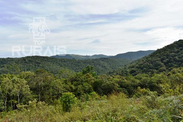 Sítio à venda em Piedade-Sp com 10 alqueires paulista.