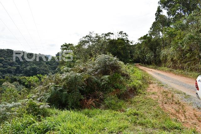 Sítio à venda em Piedade-Sp com 10 alqueires paulista.