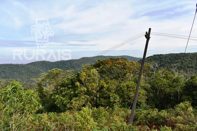 Sítio à venda em Piedade-Sp com 10 alqueires paulista.