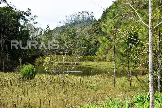 Sítio à venda em Piedade-Sp com 10 alqueires paulista.