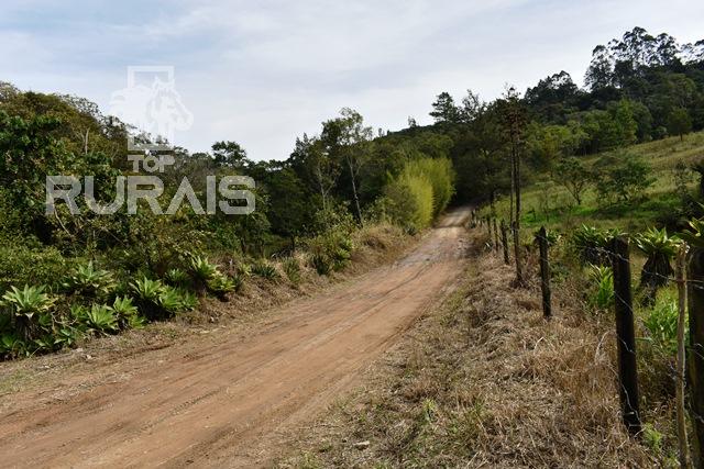 Sítio à venda em Piedade-Sp com 10 alqueires paulista.