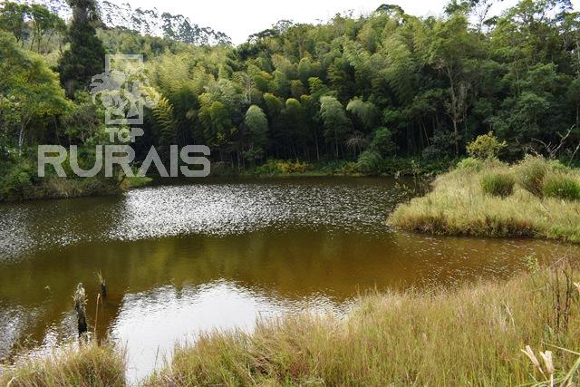 Sítio à venda em Piedade-Sp com 10 alqueires paulista.
